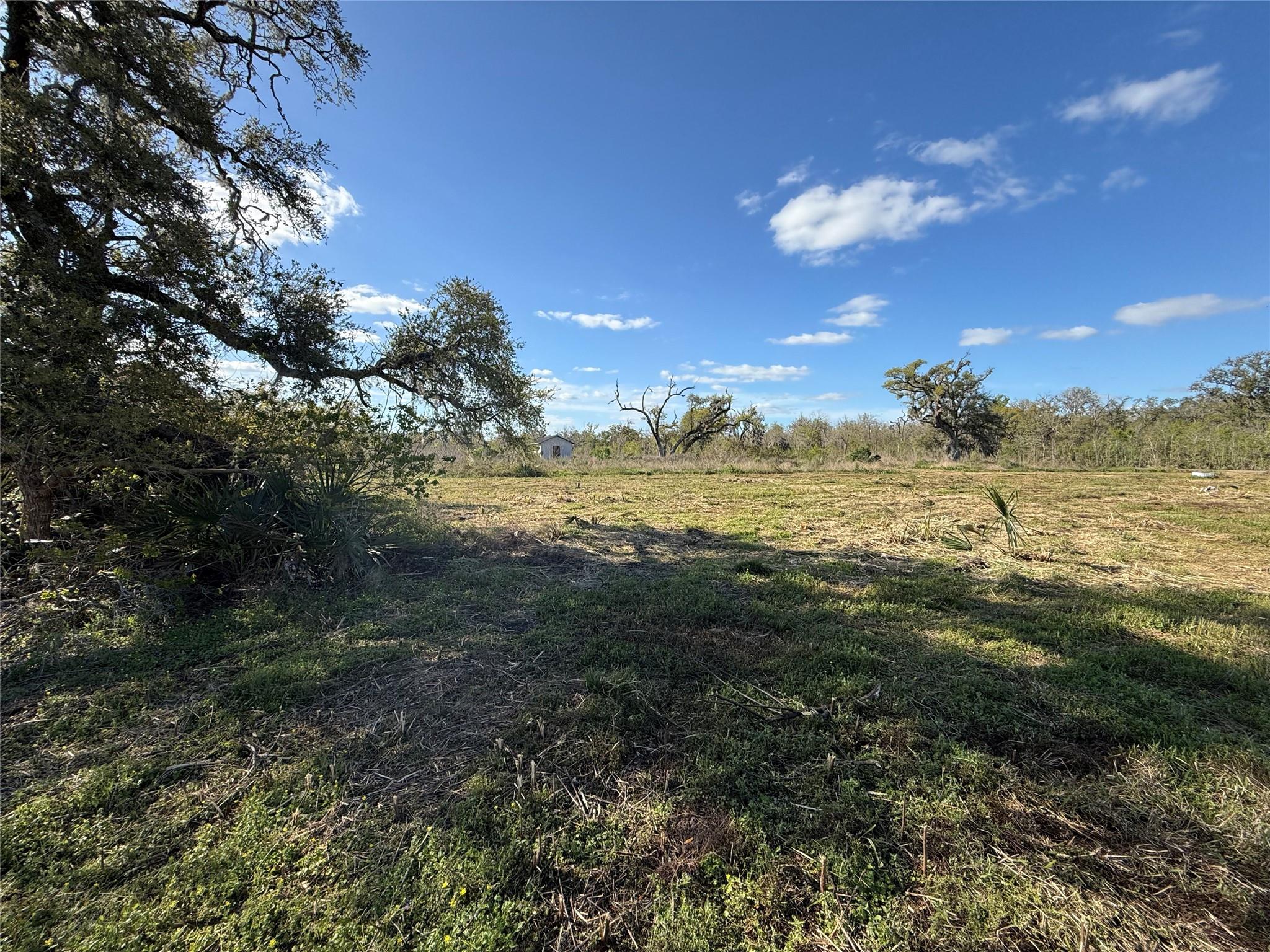 0 County Road 319