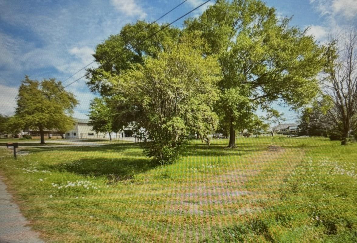17703 South Drive