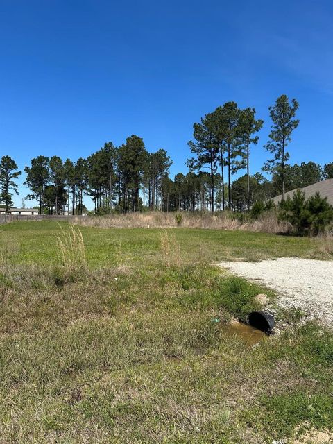 Photo of 2235 County Road 3542, Cleveland, TX 77327 (MLS # 41013338)