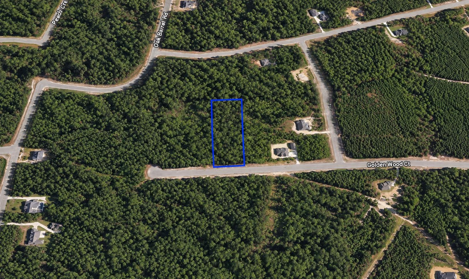 16302 Golden Wood Court