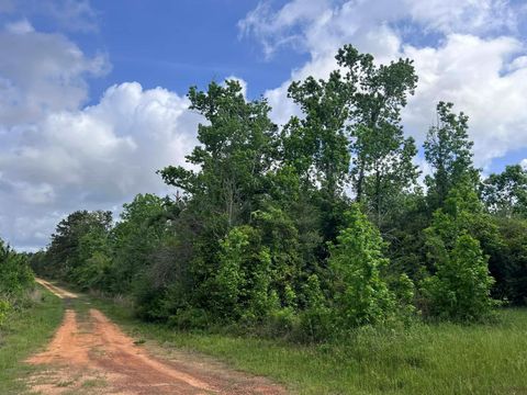 Photo of 0 County Road 2041, Newton, TX 75966 (MLS # 63293407)
