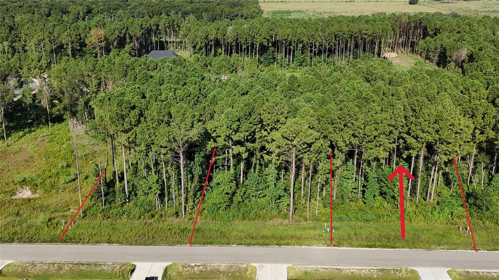 Photo of 3171 Road 66125, Dayton, TX 77535 (MLS # 75021727)