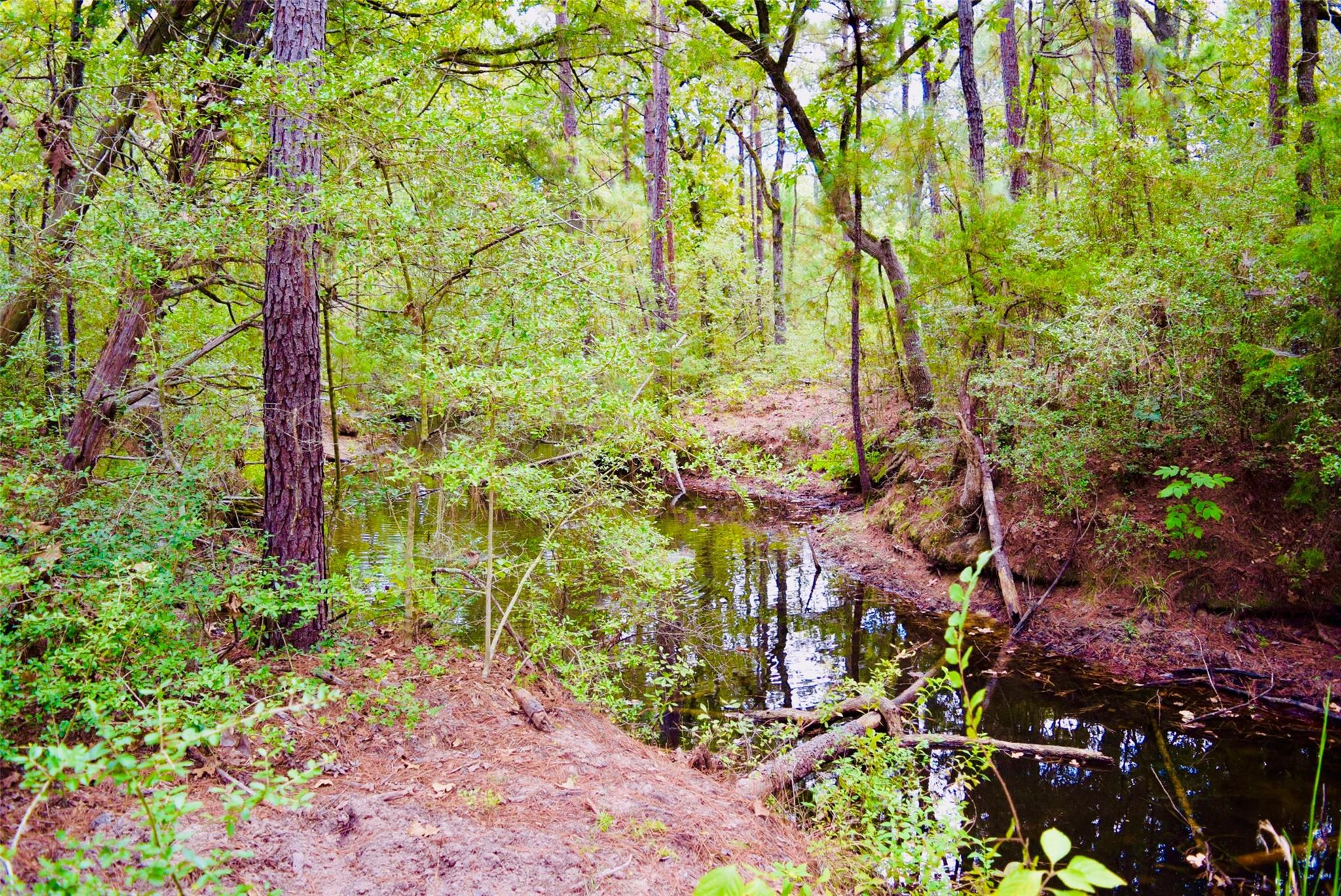 TBA County Road 114