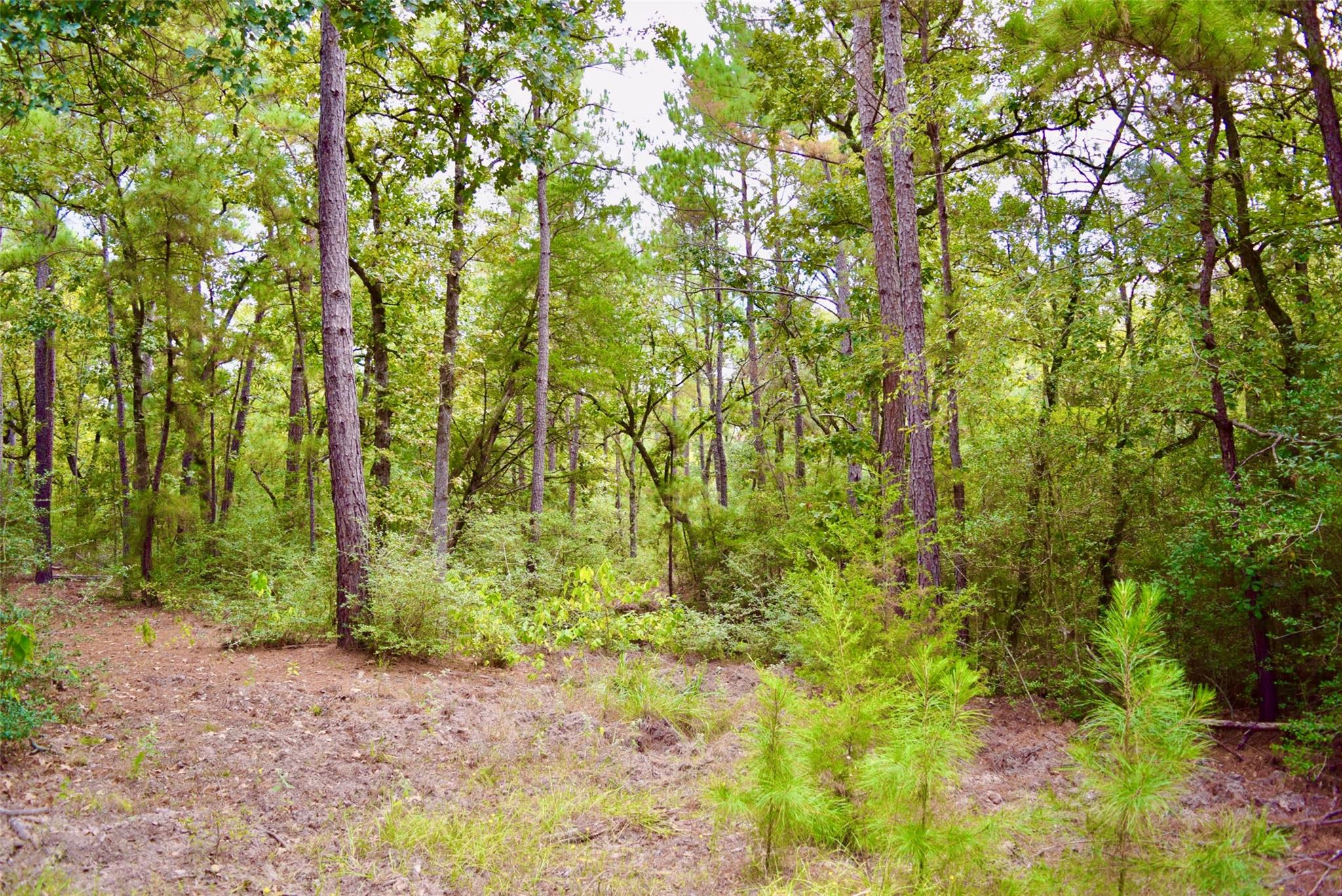 TBA County Road 114