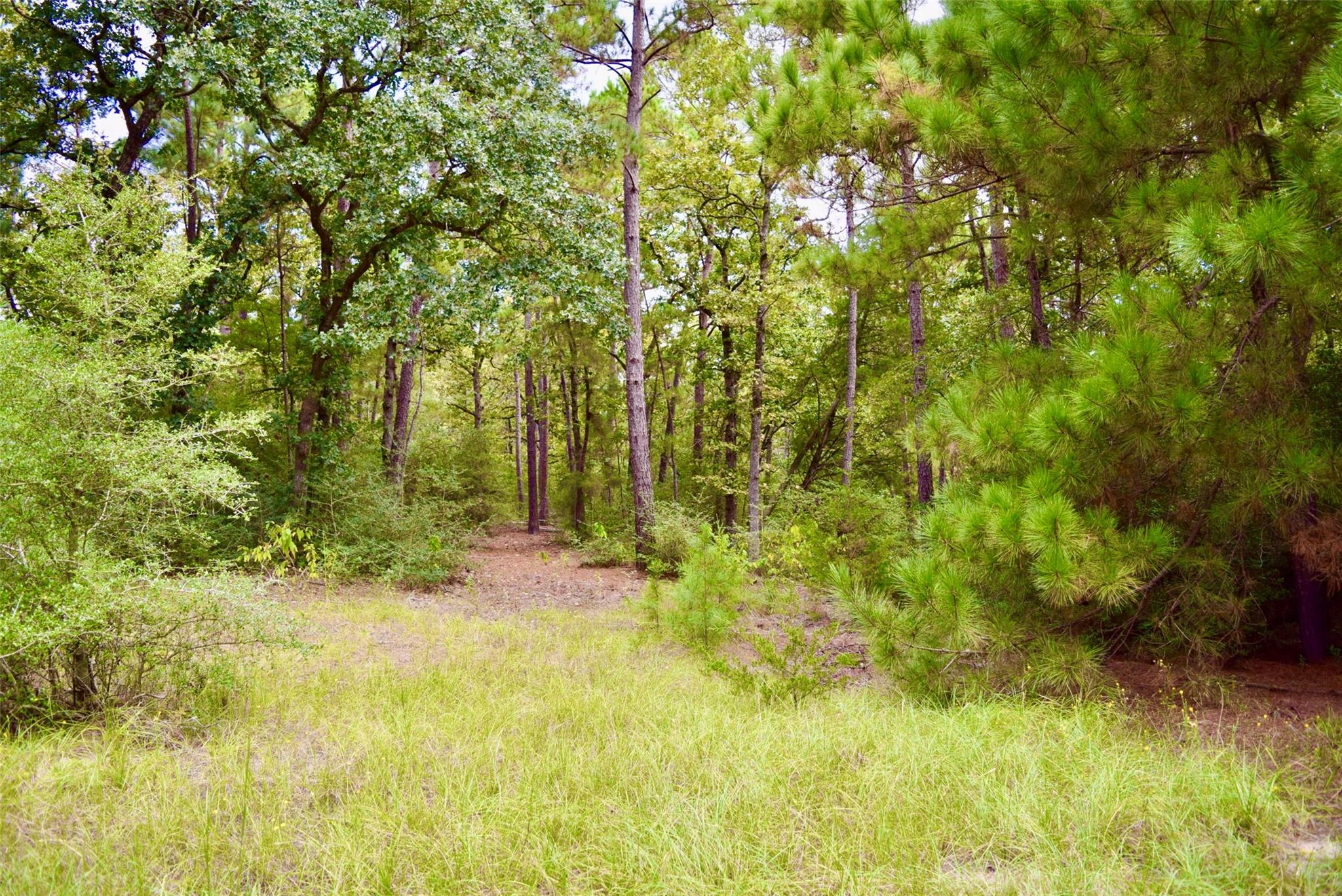 TBA County Road 114