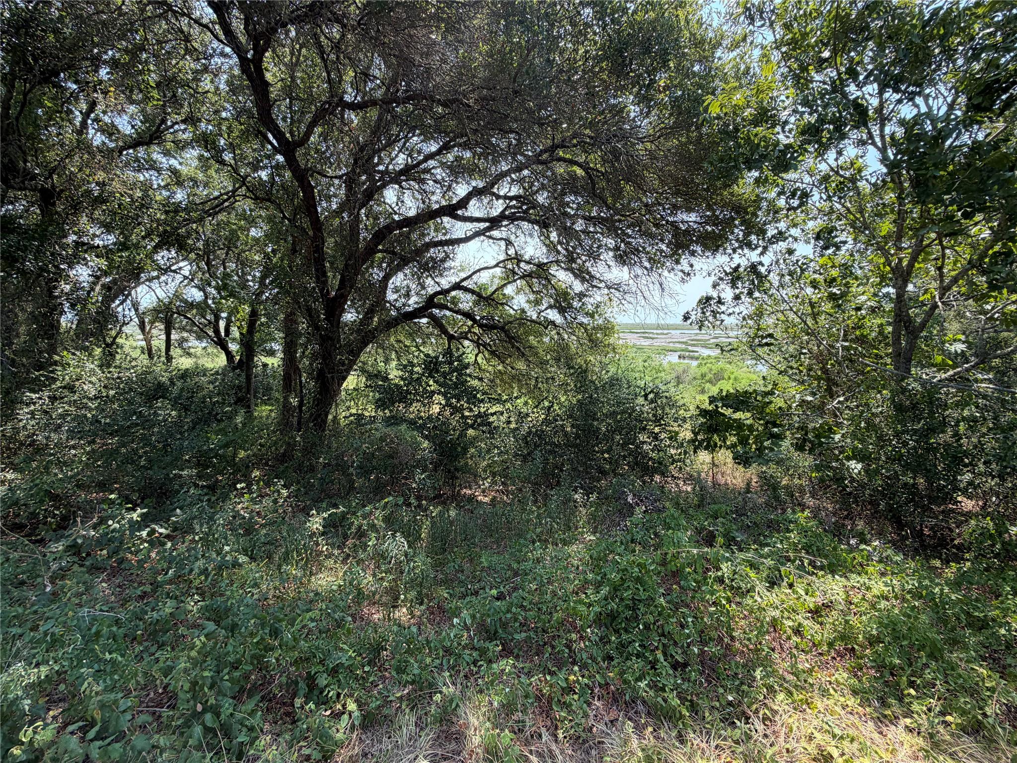 1433 Kane Lane