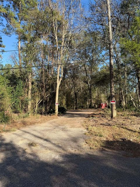 Photo of 15734 Holly Drive, Montgomery, TX 77356 (MLS # 72313302)