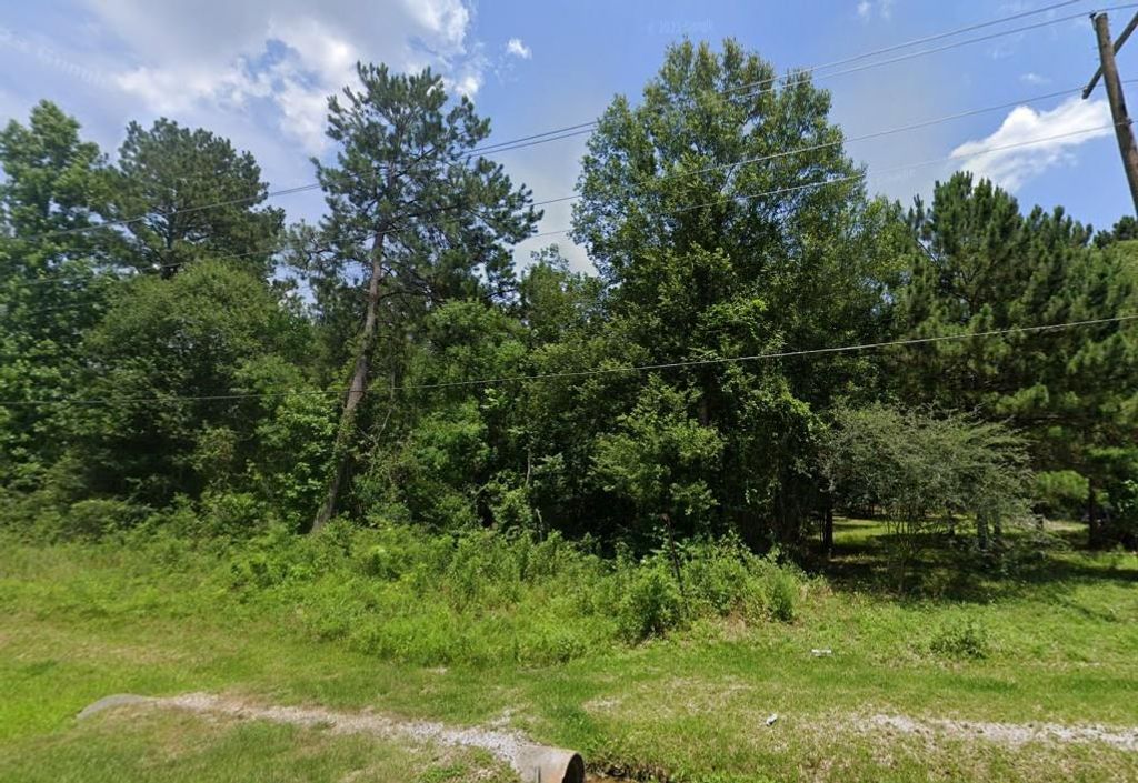 Photo of 0 Huffman Cleveland Road, New Caney, TX 77357 (MLS # 9617406)