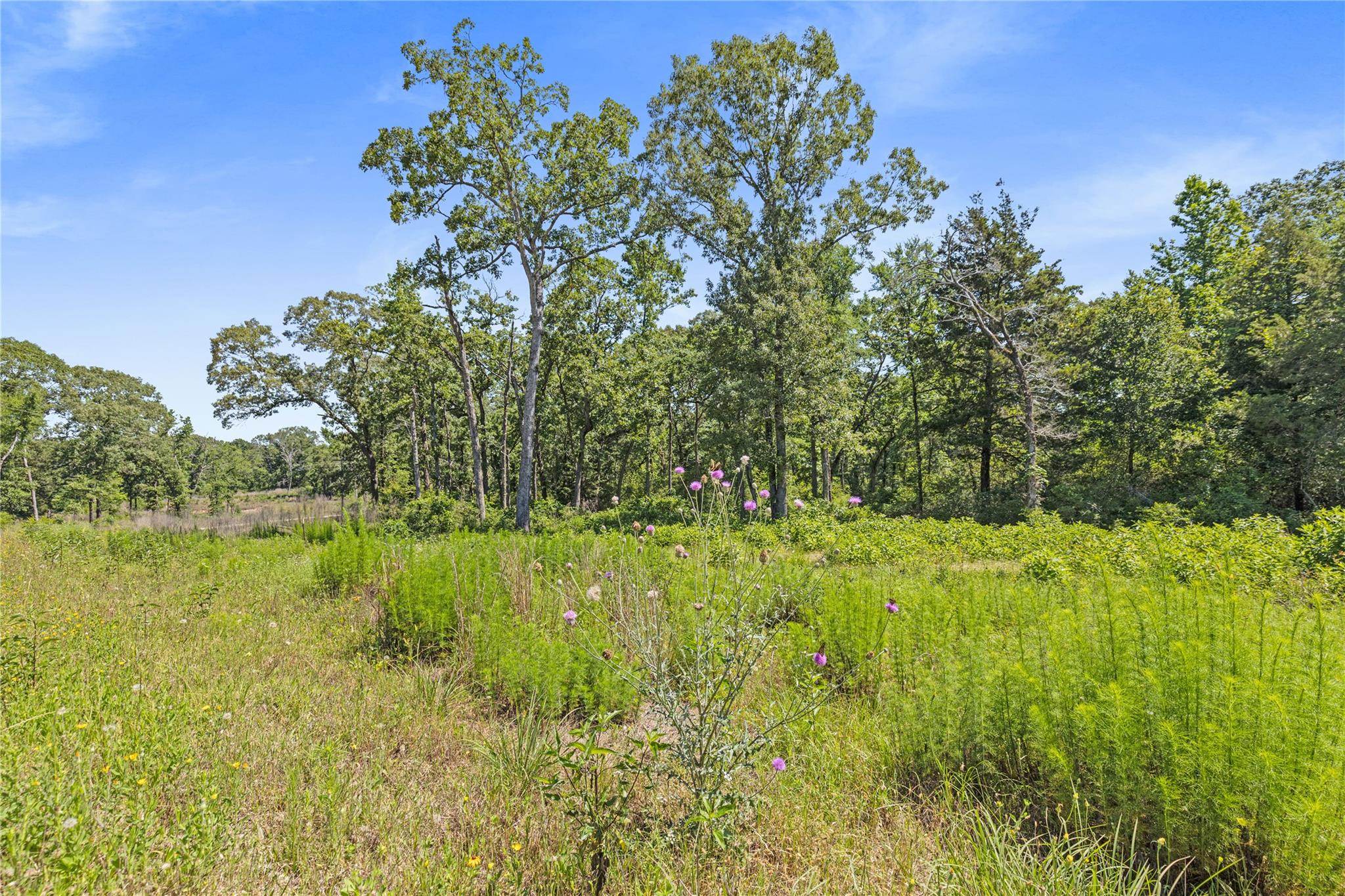 Lot 91 Cr 114