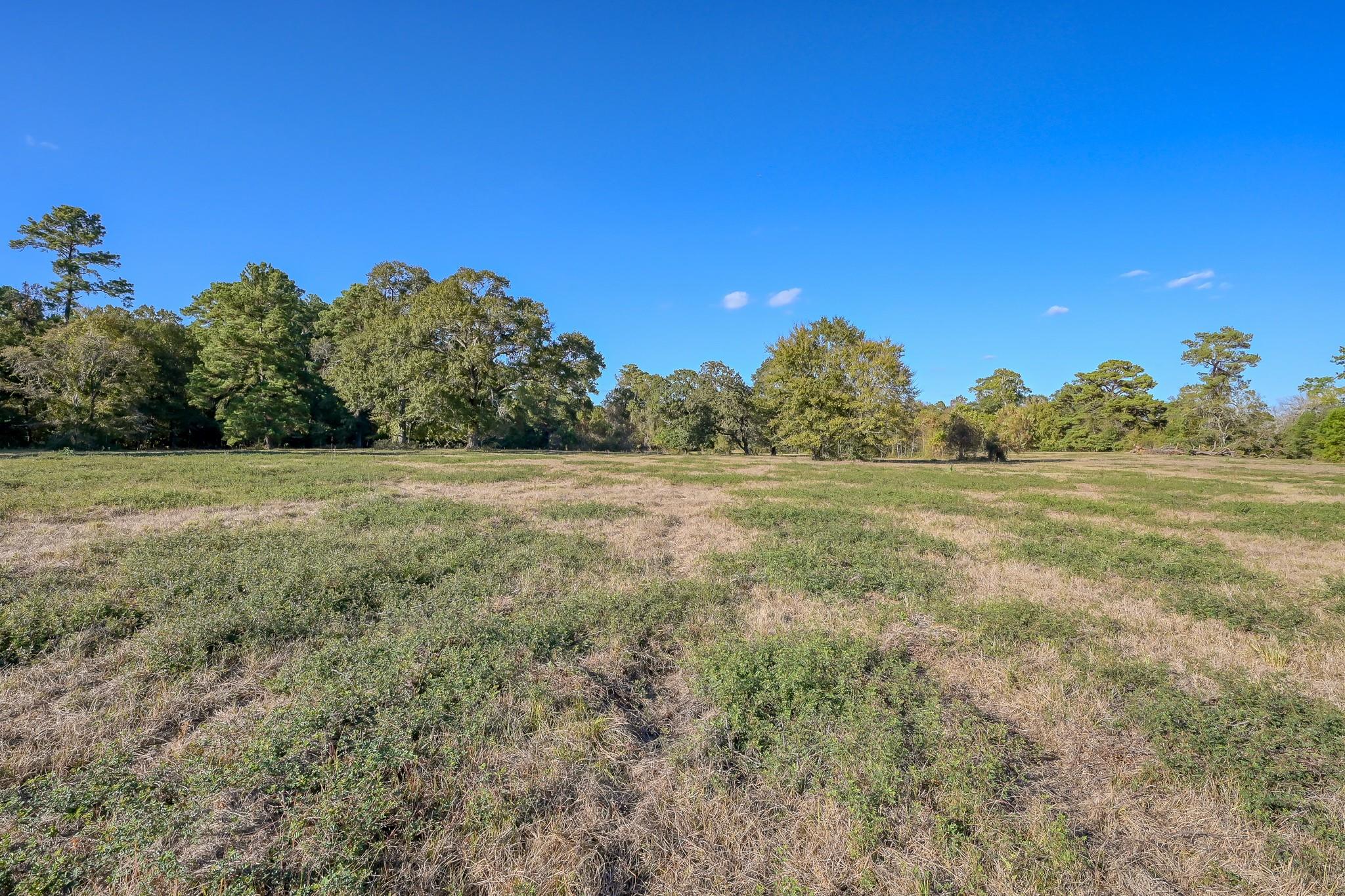 125 ACRES Spring Branch Road