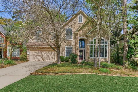 30 Fortuneberry Place The Woodlands TX 77382