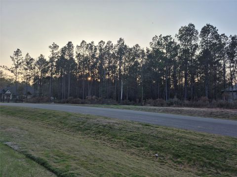 25179 Chisos Bend Montgomery TX 77316