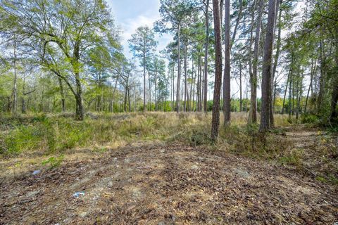 Vacant Land For Sale - 480 County Road 3188<br/> Liberty County, Cleveland, TX 77327