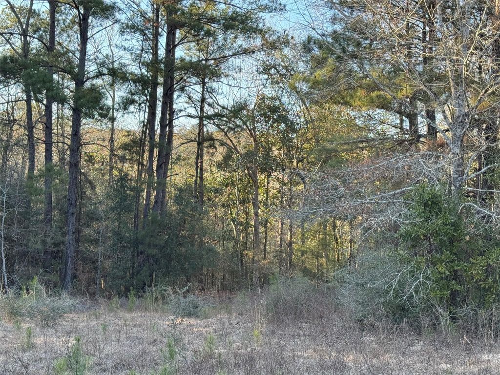 Photo of 2511 County Road 4280, Woodville, TX 75979 (MLS # 7678717)