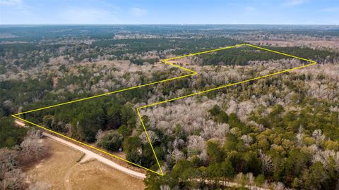 Vacant Land For Sale - 2511 County Road 4280<br/> Tyler County, Woodville, TX 75979