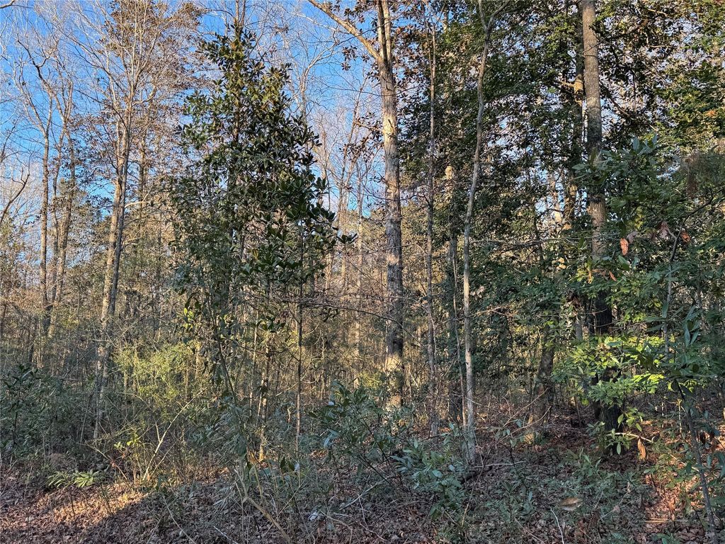 Photo of 2511 County Road 4280, Woodville, TX 75979 (MLS # 7678717)