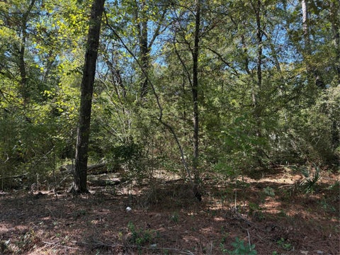 Photo of TBD Tejas Drive, Huntsville, TX 77320 (MLS # 24923202)