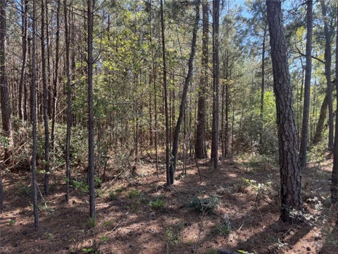 Photo of 107 Hwy 156, Coldspring, TX 77331 (MLS # 56055750)