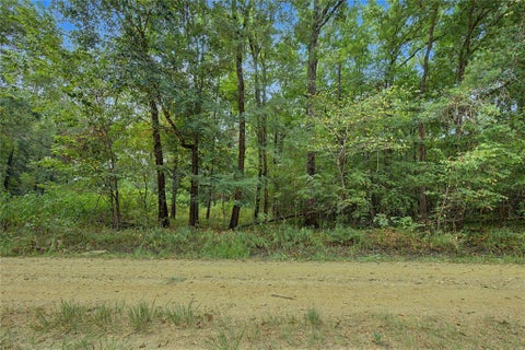 Photo of 0 Holt Street, Coldspring, TX 77331 (MLS # 87964015)