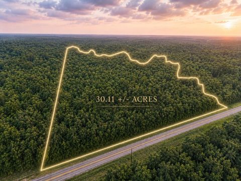 Photo of TBD Fm 980 N, Point Blank, TX 77364 (MLS # 78459612)
