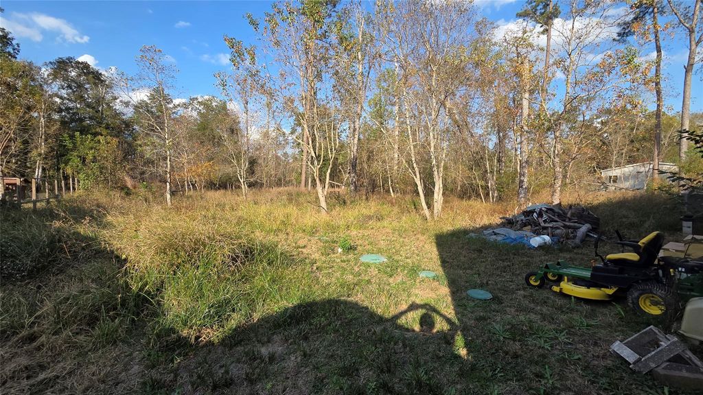 Photo of 17511 Indian Trail, Porter, TX 77365 (MLS # 71471125)