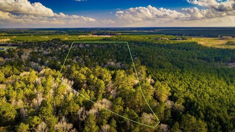 Vacant Land For Sale - 001 Holly Grove Road<br/> Polk County, Livingston, TX 77351