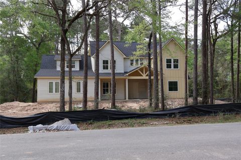 Photo of 303 Pelican Street, Magnolia, TX 77355 (MLS # 78012378)