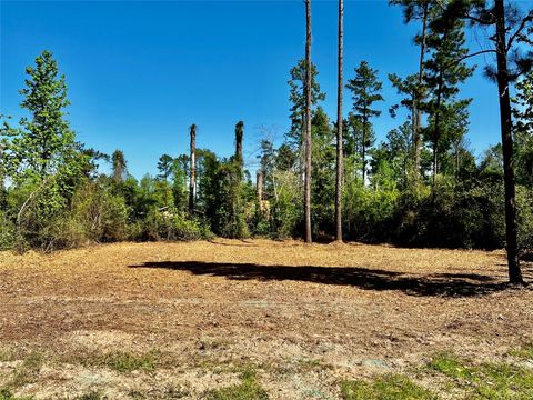 Photo of 171 Brahman, Onalaska, TX 77360 (MLS # 75500774)