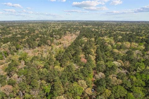 Photo of TBD Knotty Pine, New Caney, TX 77357 (MLS # 15598888)
