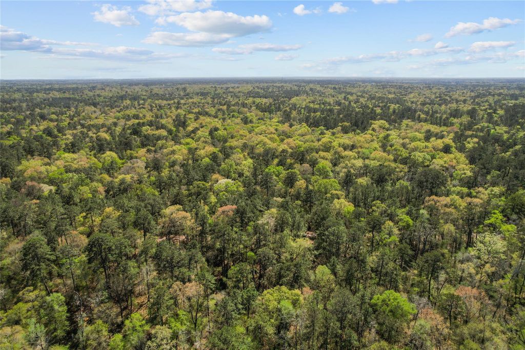 Photo of TBD Knotty Pine, New Caney, TX 77357 (MLS # 15598888)