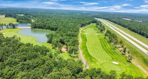 Tiny photo for 7388 Mount Greylock Loop, Porter, TX 77365 (MLS # 36258532)