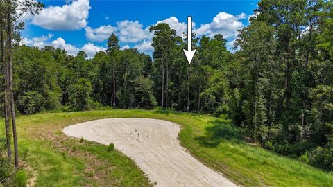 Photo of 110 Romantic Dreams Ct, New Waverly, TX 77358 (MLS # 3526238)