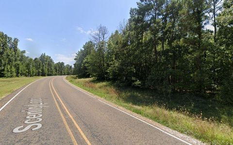 Photo of 0 Bankside Street, Livingston, TX 77351 (MLS # 38297974)