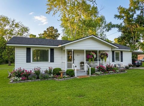 Photo of 313 S Summer Street, Centerville, TX 75833 (MLS # 61109394)