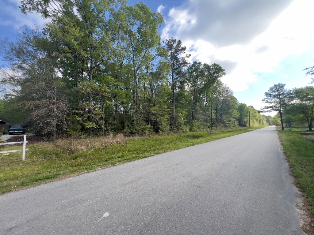 Photo of 25533 Northampton, New Caney, TX 77357 (MLS # 82110729)