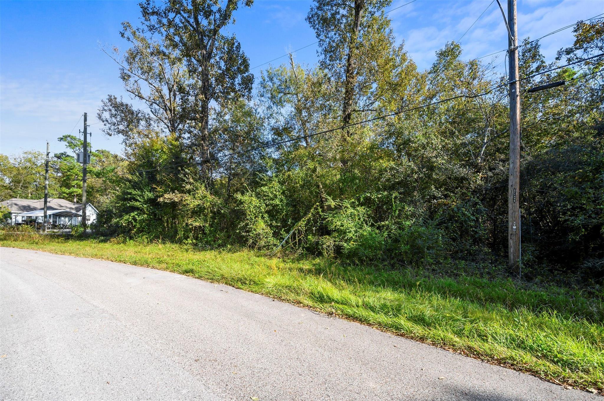 1407 Black Bear Drive