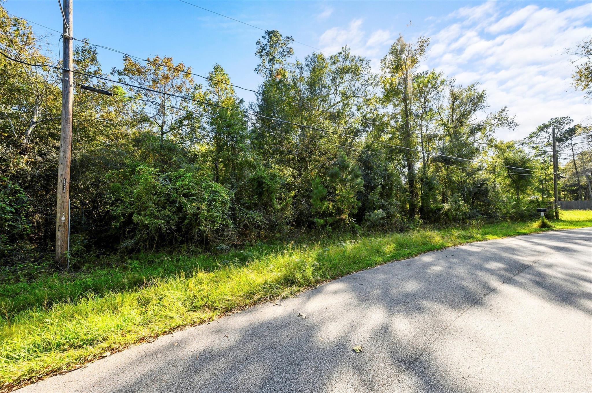 1407 Black Bear Drive