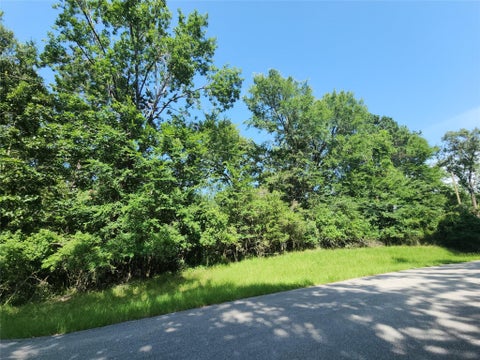 Vacant Land For Sale - Red Oak Lane<br/> Trinity, TX 75862