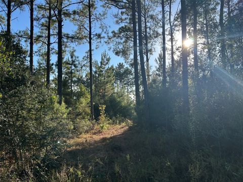 Vacant Land For Sale - TRACT 11 Fm 230<br/> Lovelady, TX 77854