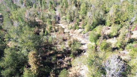 Vacant Land For Sale - TBD Fm 1280 East<br/> Lovelady, TX 75851