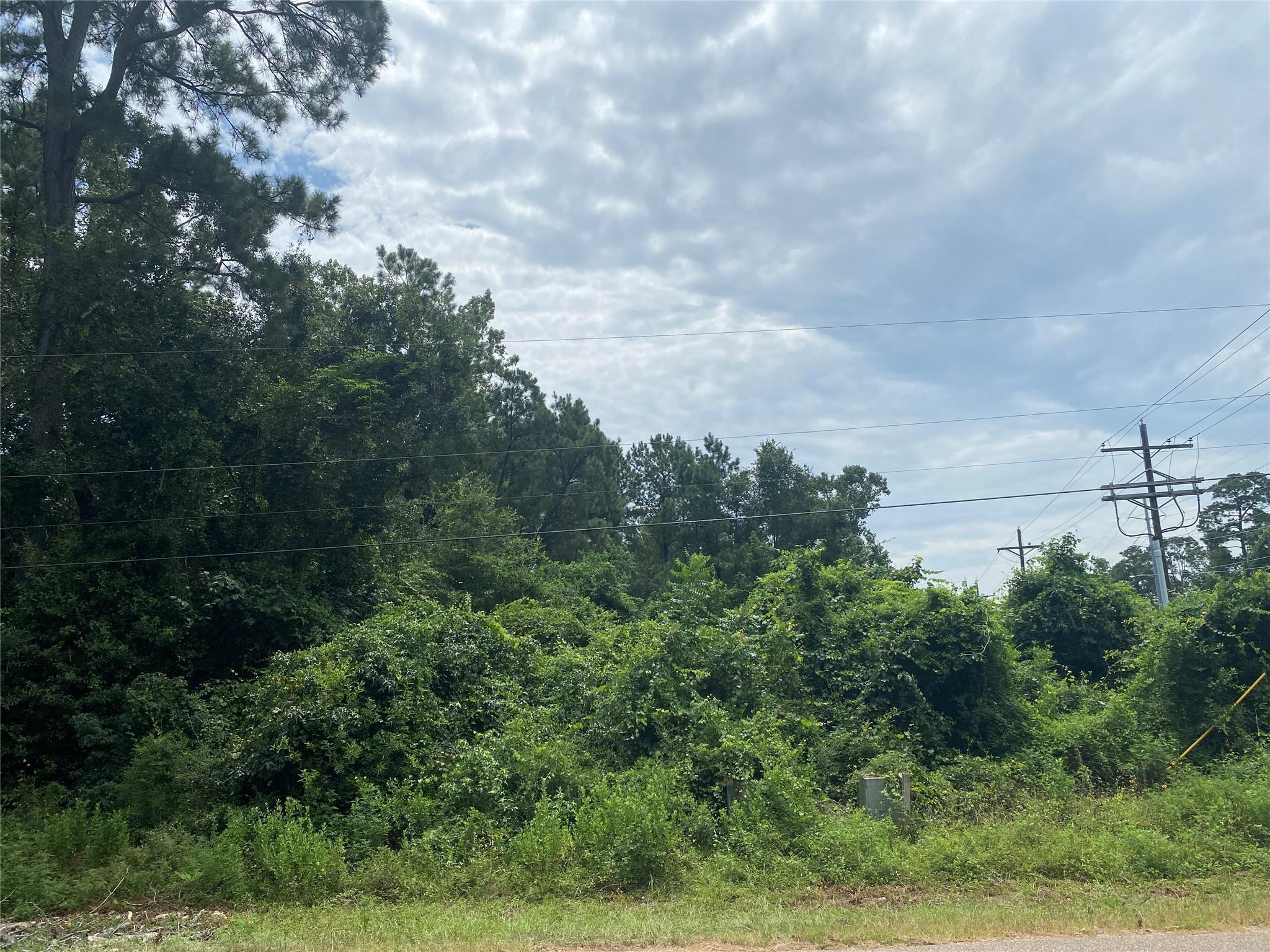 10 Redbud Dr