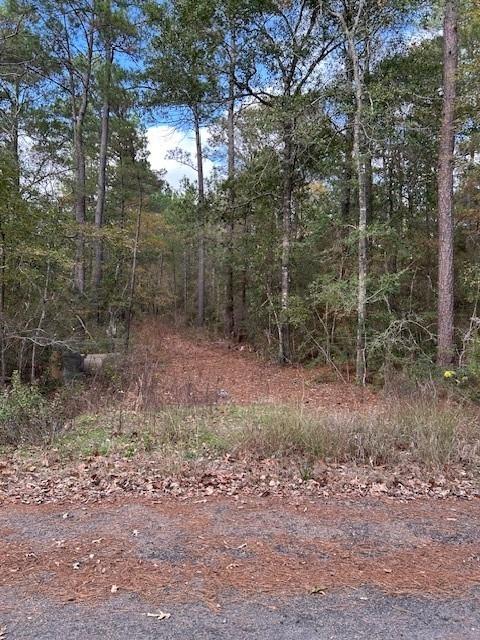 Photo of 4807 Cathey Lane, Navasota, TX 77868 (MLS # 71422115)
