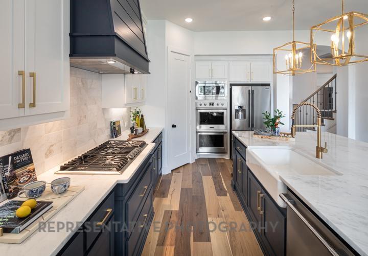 10527 Wild Senna Court