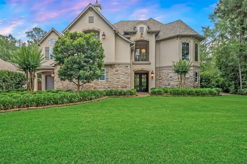 Photo of 59 E Ambassador Bend, Spring, TX 77382 (MLS # 96806929)