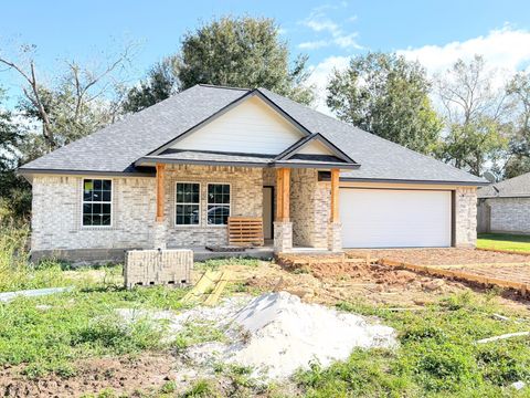 2541 Cr 769c Brazoria TX 77422