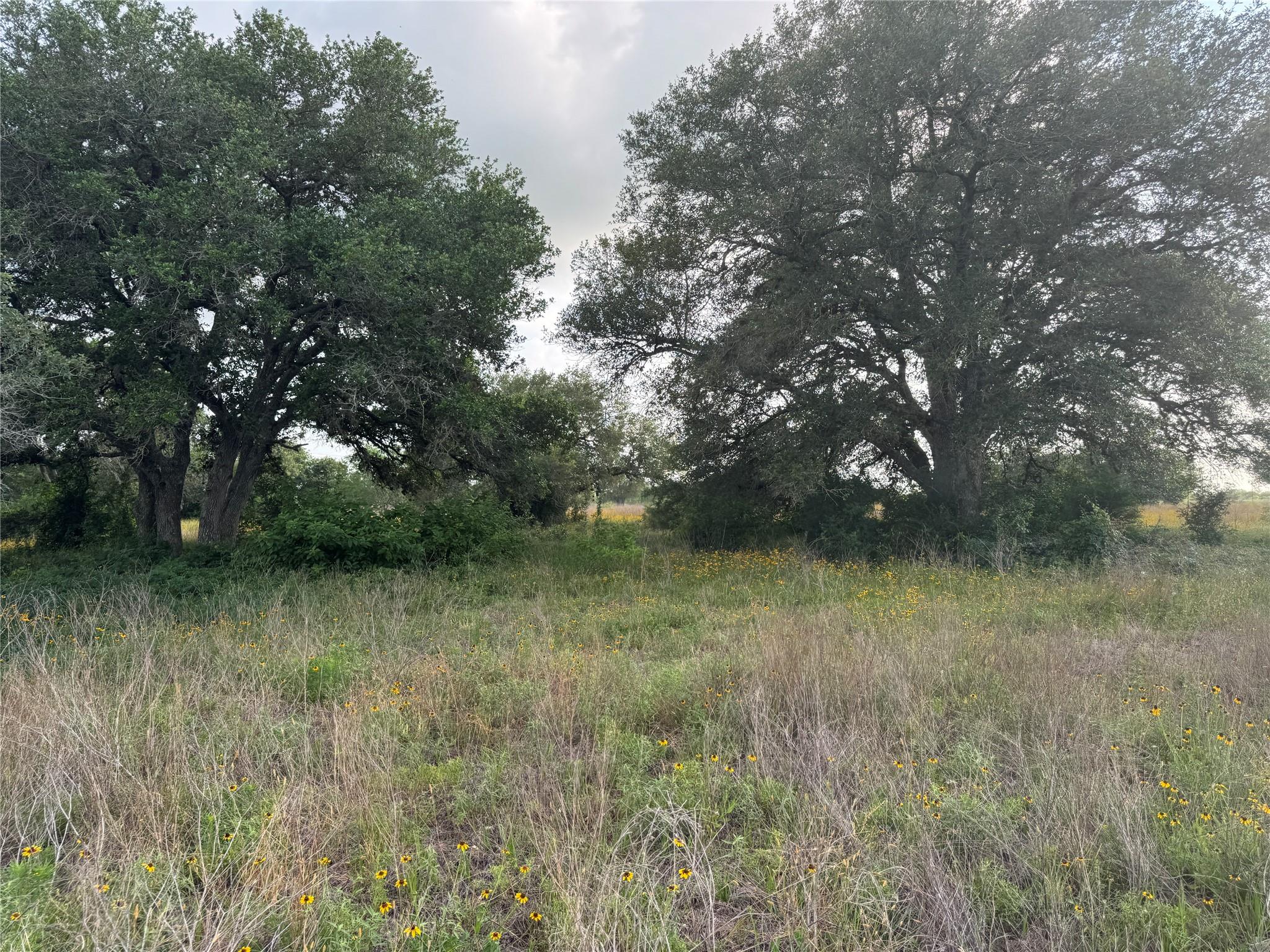 TBD Hwy 90a
