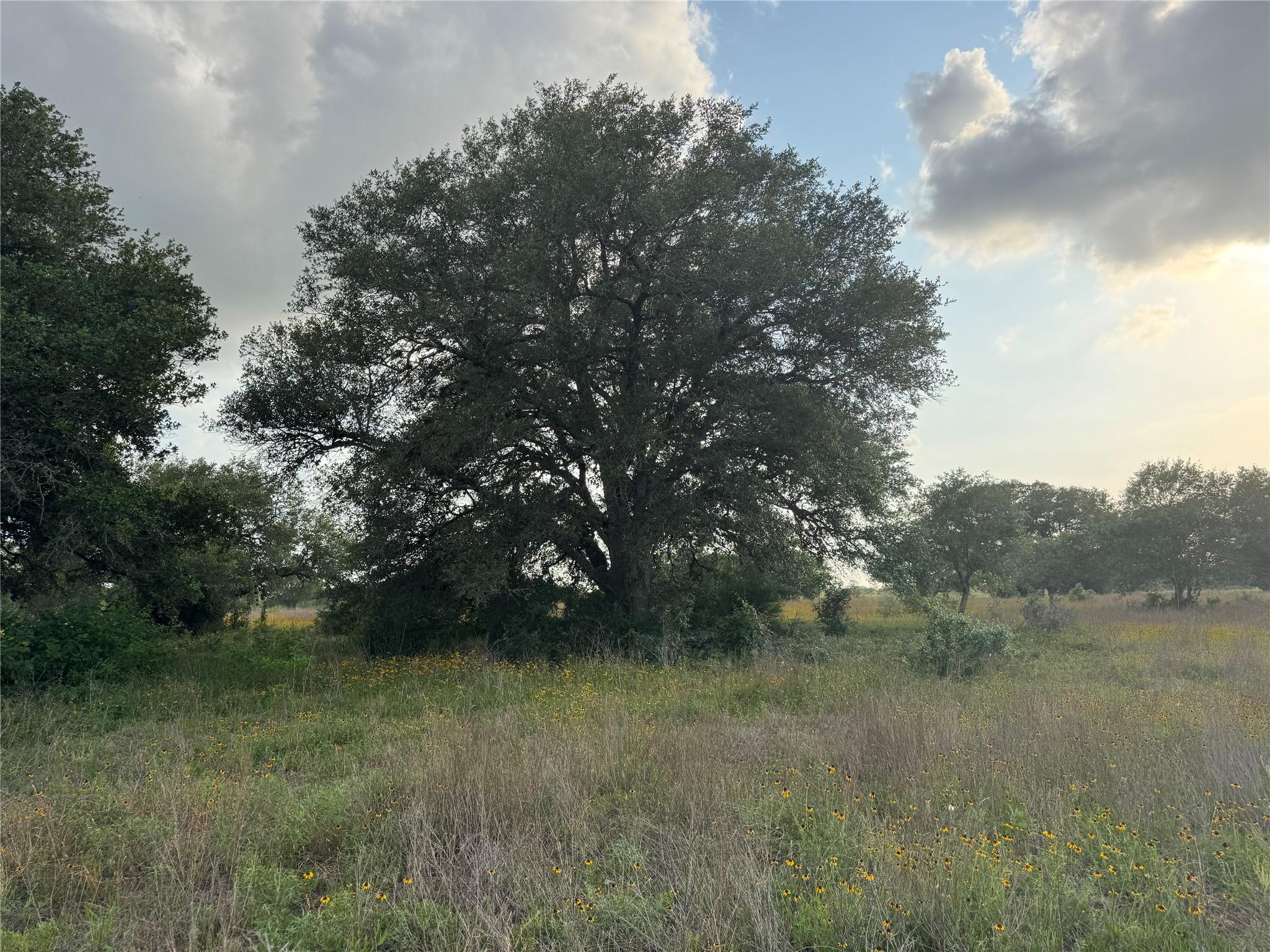 TBD Hwy 90a