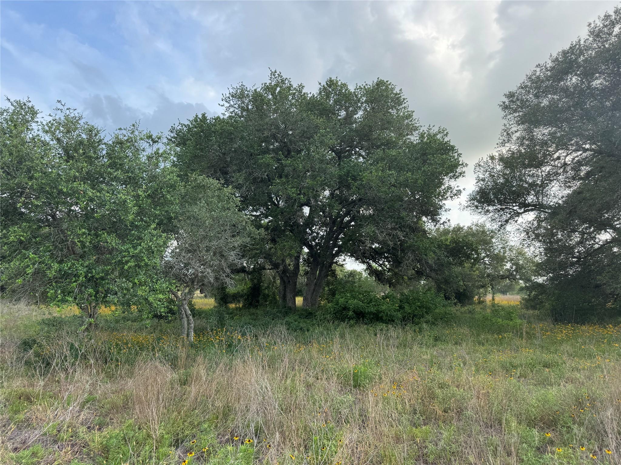 TBD Hwy 90a