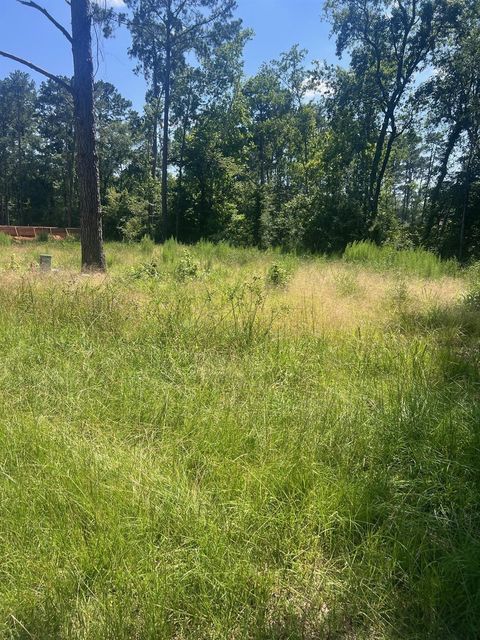 Photo of 1981 La Salle Park Drive, Conroe, TX 77304 (MLS # 5353631)