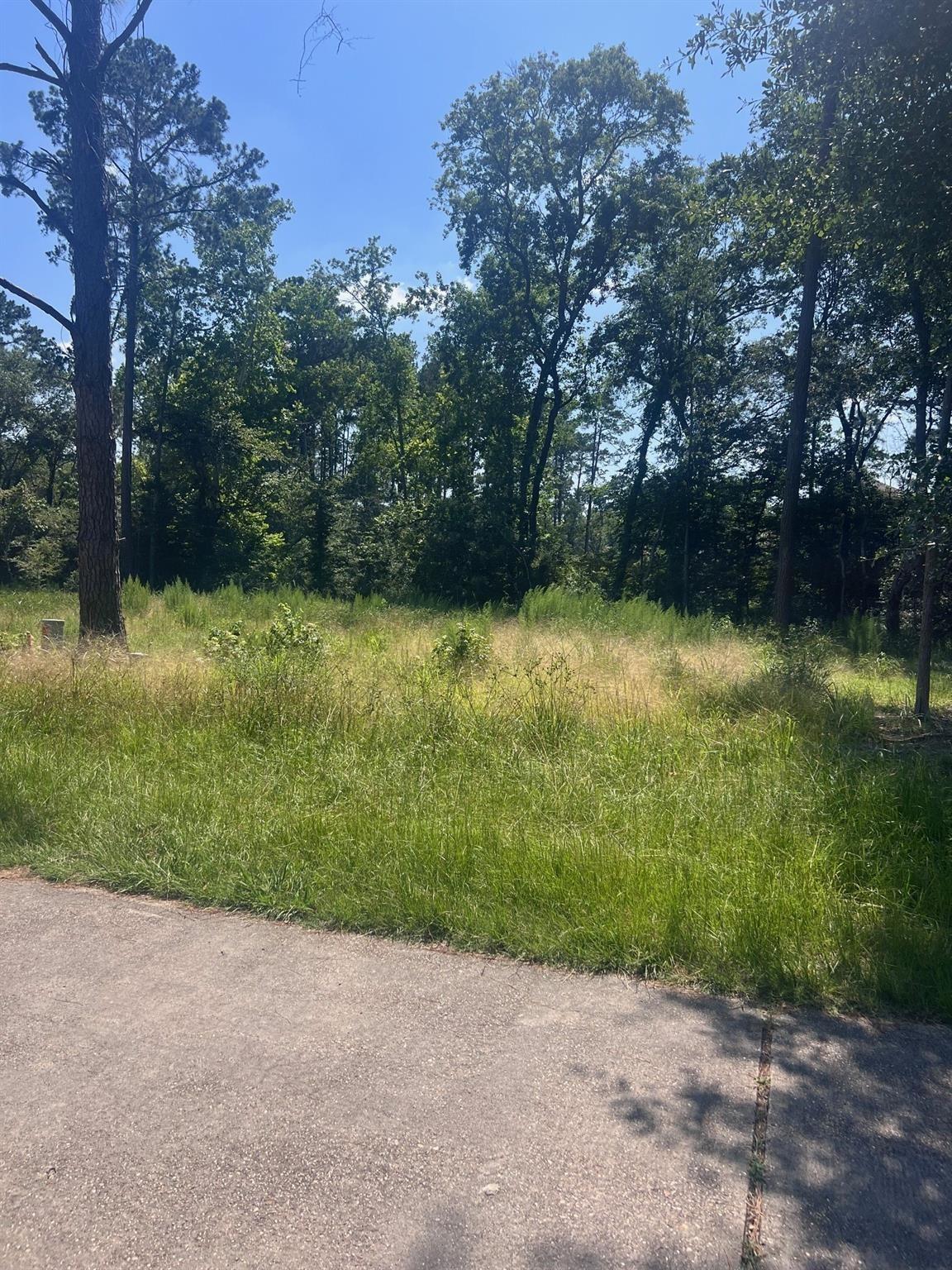 1981 La Salle Park Drive